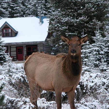 Nipika Mountain Resort レイディアム・ホット・スプリングス エクステリア 写真