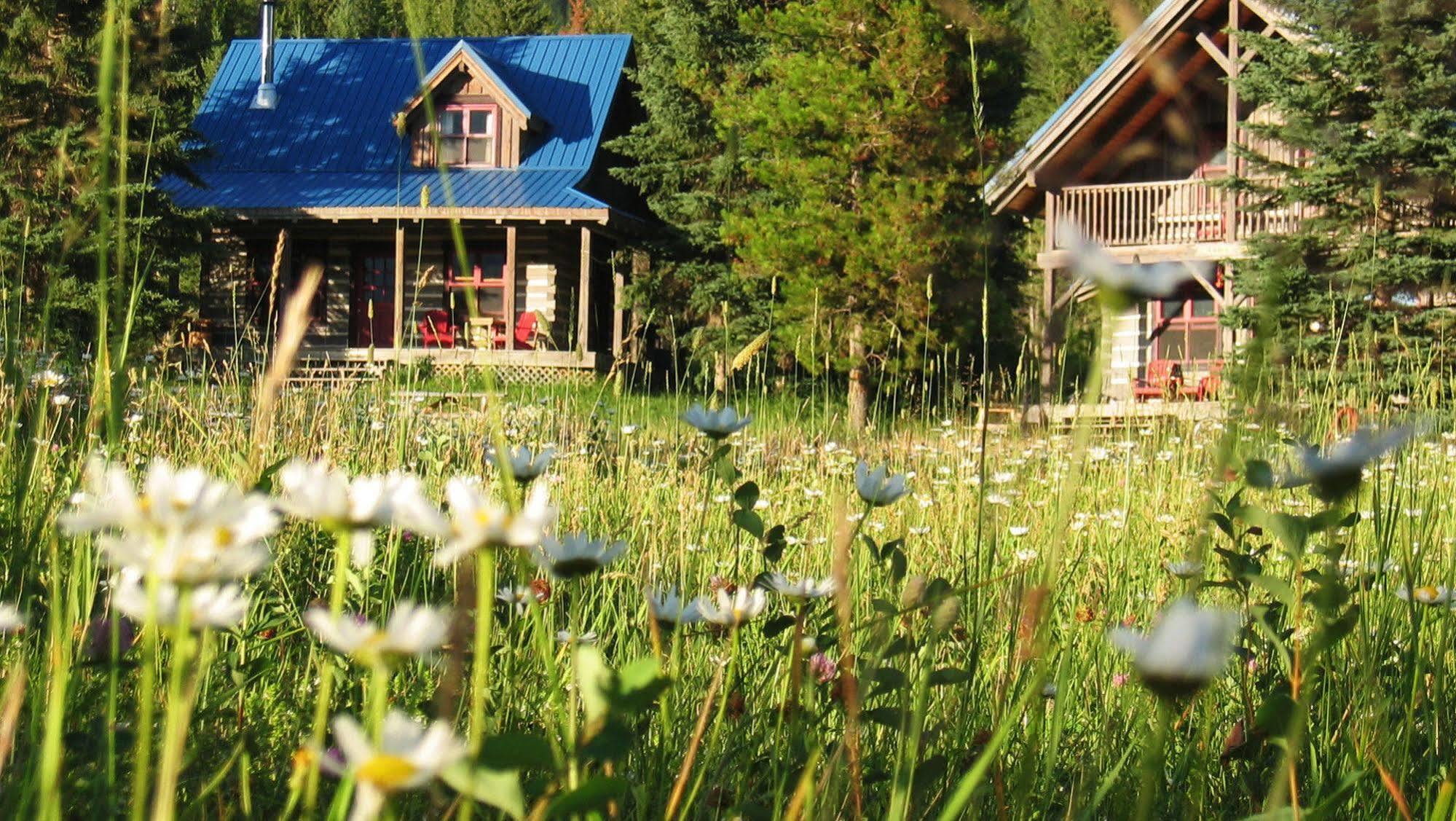 Nipika Mountain Resort レイディアム・ホット・スプリングス エクステリア 写真